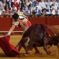 Propone López Obrador consulta ciudadana para prohibir corridas de toros en México