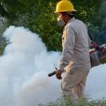 Se contradice gobierno de Jalisco respecto al uso de químico contra el dengue "caduco"