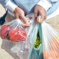 ¡Se acabaron las bolsas de plástico y popote en Jalisco! a partir de mañana 1ro de Enero
