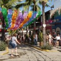 El Plan que se proyecta el Municipio para Bahía de Banderas proyecta asfalto y derrumbe de selva en años posteriores