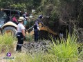 Capturan cocodrilo en Villa Las Flores