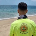 Colaboran PROFEPA y Protección Civil de Bahía de Banderas para resguardo de Elefante Marino