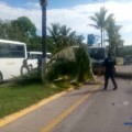 Bomba de concreto tumba palmeras y destroza varias vehículos
