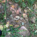 Encuentran restos humanos en río Pitillal