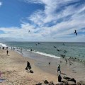 Puerto Vallarta tendrá días frescos en la última semana del año