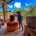 Raicilla Hacienda Divisadero premiada en Top World Spirit Awards: orgullo y dignificación de la raicilla