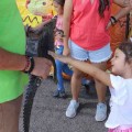 Festival Animal 2021 de Bahia de Banderas todo un éxito y ejemplo