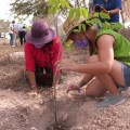 Mas de 150 árboles sembrados con Hagamos Reforestación