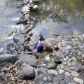 Lo encontraron muerto en el río