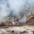 Incendios en la región están relacionados con quemas agrícolas: investigador