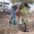 Continúa Hagamos Reforestación mantenimiento de árboles sembrados