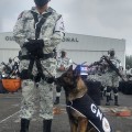 Binomios caninos listos para apoyar el caso de desastre