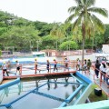 En coordinación con el IVC Recibe SEAPAL a niñas y niños en la Planta Potabilizadora Río  Cuale