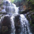 5 cascadas en Riviera Nayarit que debes conocer