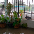 'Nora' inunda más de 6 mil viviendas en Sinaloa