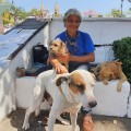 Alberto Chalico llegó hace un años a Puerto Vallarta caminando desde Querétaro, puebleando, junto a sus tres perritos: Beny, Piccolo y Fito