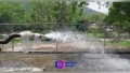 Anuncia SEAPAL fin de la intermitencia en el servicio de agua potable en parte alta de El Pitillal
