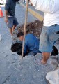 Atiende SEAPAL ruptura del subcolector Juárez