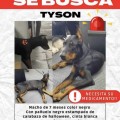 Ayudemos a encontrar a Tyson