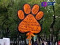 Capitalinos protestan para frenar el maltrato animal