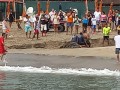 Cocodrilo nadaba en la playa del hotel Playa de Oro.