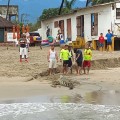 Cocodrilo nadaba en la playa del hotel Playa de Oro.