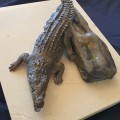 Colocarán escultura de cocodrilo en Estero El Salado