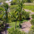 Descubre y Protege el Tesoro Natural de Puerto Vallarta: El Estero El Salado