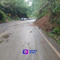 Deslaves, derrumbes y árboles caídos dejan lluvias en carreteras de la región