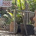 Detenido presunto homicida en Puerto Vallarta: Avances en la investigación del asesinato del velador del vivero