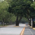 "El Profe Michel “Inaugura la Pavimentación de la Avenida Las Palmas