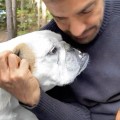 Eugenio Derbez rinde homenaje a su perrita Fiona tras despedirla