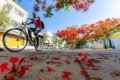 Guadalajara y Puerto Vallarta nominadas entre las mejores ciudades del mundo en los Readers' Choice Awards 2023 de Condé Nast Traveler