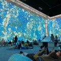 Impresionante "Van Gogh Immersive Experience"