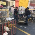 Incendio en el Mercado de Sonora destapa maltrato animal