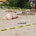 Muere huésped en playa de la Ciudad