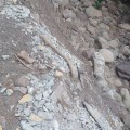 Persisten tiraderos de escombros en Paso Ancho