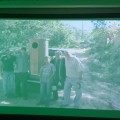 Presentan documental: El Regreso de la Guacamaya Verde