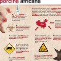 Prevén sobre peste porcina africana a pasajeros en Aeropuerto de Puerto Vallarta