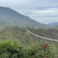 "Protección a la montaña y NO a la deforestación": En El Jorullo
