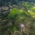 Proyecto minero en San Sebastián del Oeste atenta contra ecosistema