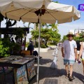 Puerto Vallarta tuvo un gran cierre turístico en el 2023