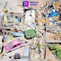 Rescatan a 13 perritos entre los escombros de la explosión en Tlalpan