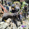 Rescatan a 13 perritos entre los escombros de la explosión en Tlalpan