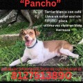 Se busca a Pancho