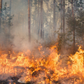 Semadet activa Alerta Atmosférica en Cabo Corrientes y Talpa por incendios forestales