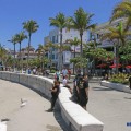 Semana Santa con alto número de visitantes a Puerto Vallarta