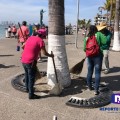 Servicios Públicos mantiene limpio Puerto Vallarta