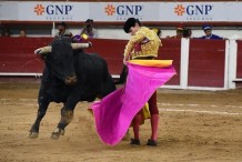 ¡Abajo otra vez! Suspende provisionalmente las corridas de toros en CDMX