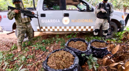 Aseguran 25 kilos de Mariguana en Tomatlán, Jalisco